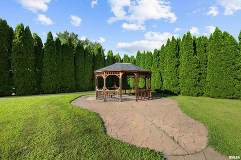 Tiny photo for 13109 83RD Avenue, Blue Grass, IA 52726 (MLS # QC4267534)