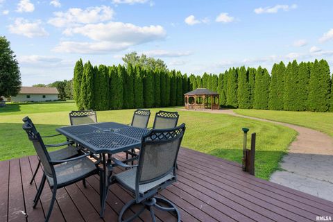 Tiny photo for 13109 83RD Avenue, Blue Grass, IA 52726 (MLS # QC4267534)