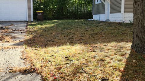 Tiny photo for 317 N Horace Avenue, Rockford, IL 61101 (MLS # 12466763)