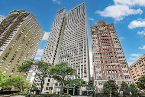 1110 N Lake Shore Drive 3N Chicago IL 60611
