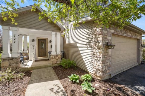 Tiny photo for 727 Lisa Road, West Dundee, IL 60118 (MLS # 12631742)