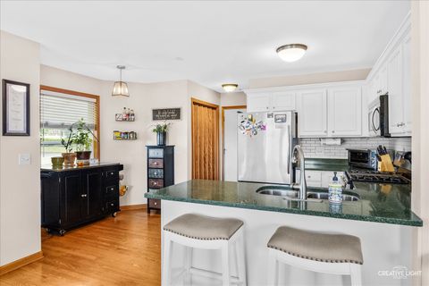 Tiny photo for 727 Lisa Road, West Dundee, IL 60118 (MLS # 12631742)