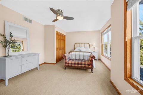 Tiny photo for 727 Lisa Road, West Dundee, IL 60118 (MLS # 12631742)
