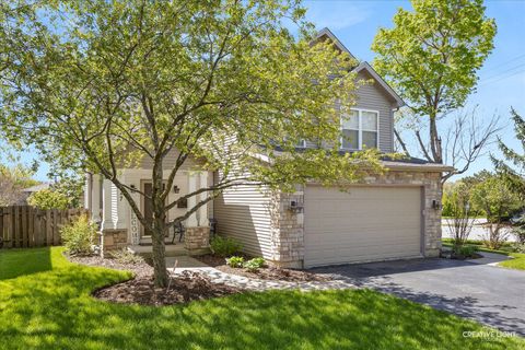 Tiny photo for 727 Lisa Road, West Dundee, IL 60118 (MLS # 12631742)