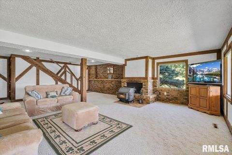 Tiny photo for 516 CRESTVIEW Drive, Sherrard, IL 61281 (MLS # QC4266494)