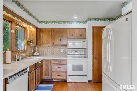 Tiny photo for 516 CRESTVIEW Drive, Sherrard, IL 61281 (MLS # QC4266494)