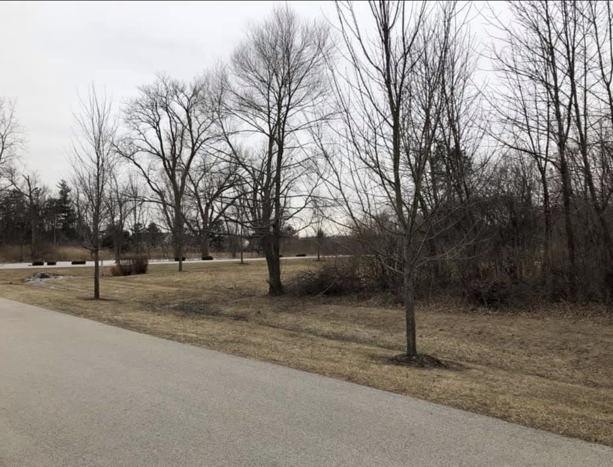 16340 S Alberta Court