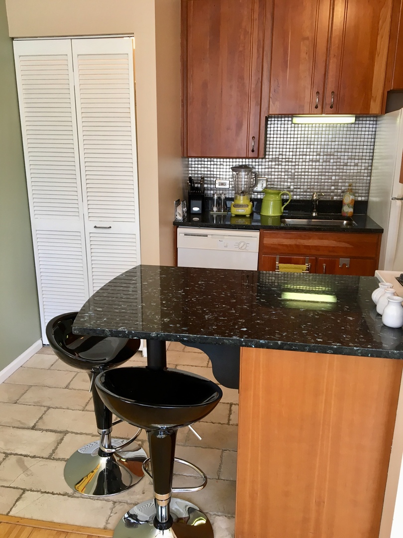 Chicago, Illinois 60654, United States, 1 Bedroom Bedrooms, ,1 BathroomBathrooms,Residential,Active,228507