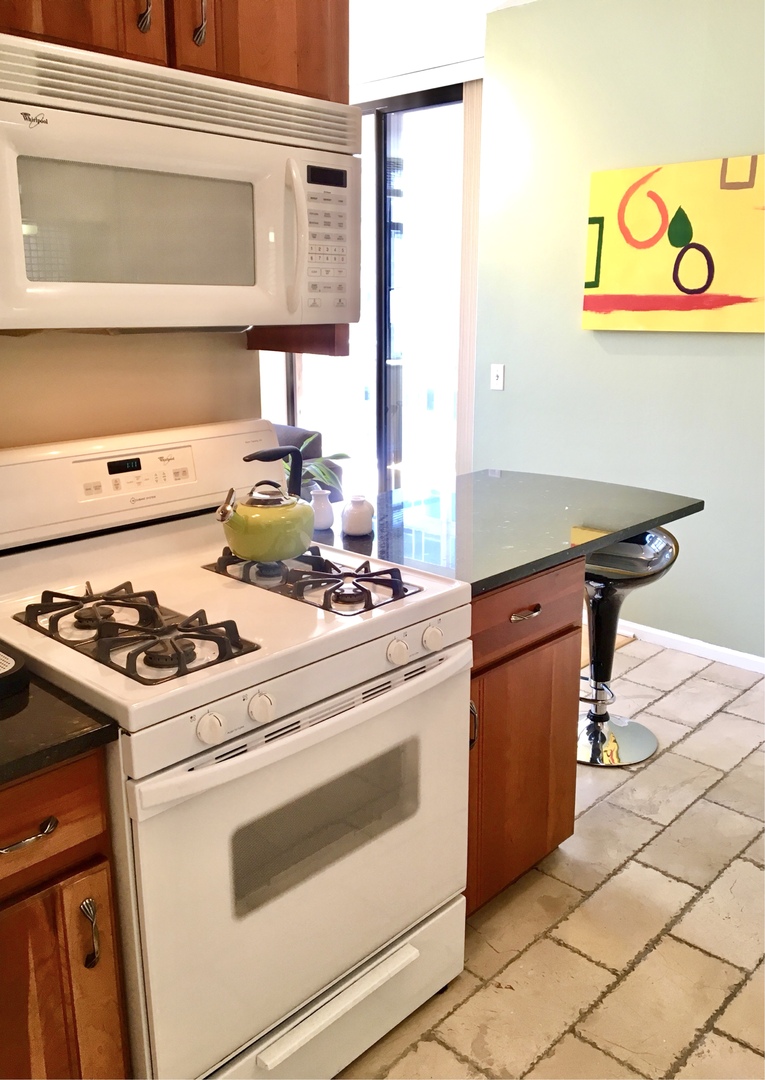 Chicago, Illinois 60654, United States, 1 Bedroom Bedrooms, ,1 BathroomBathrooms,Residential,Active,228507