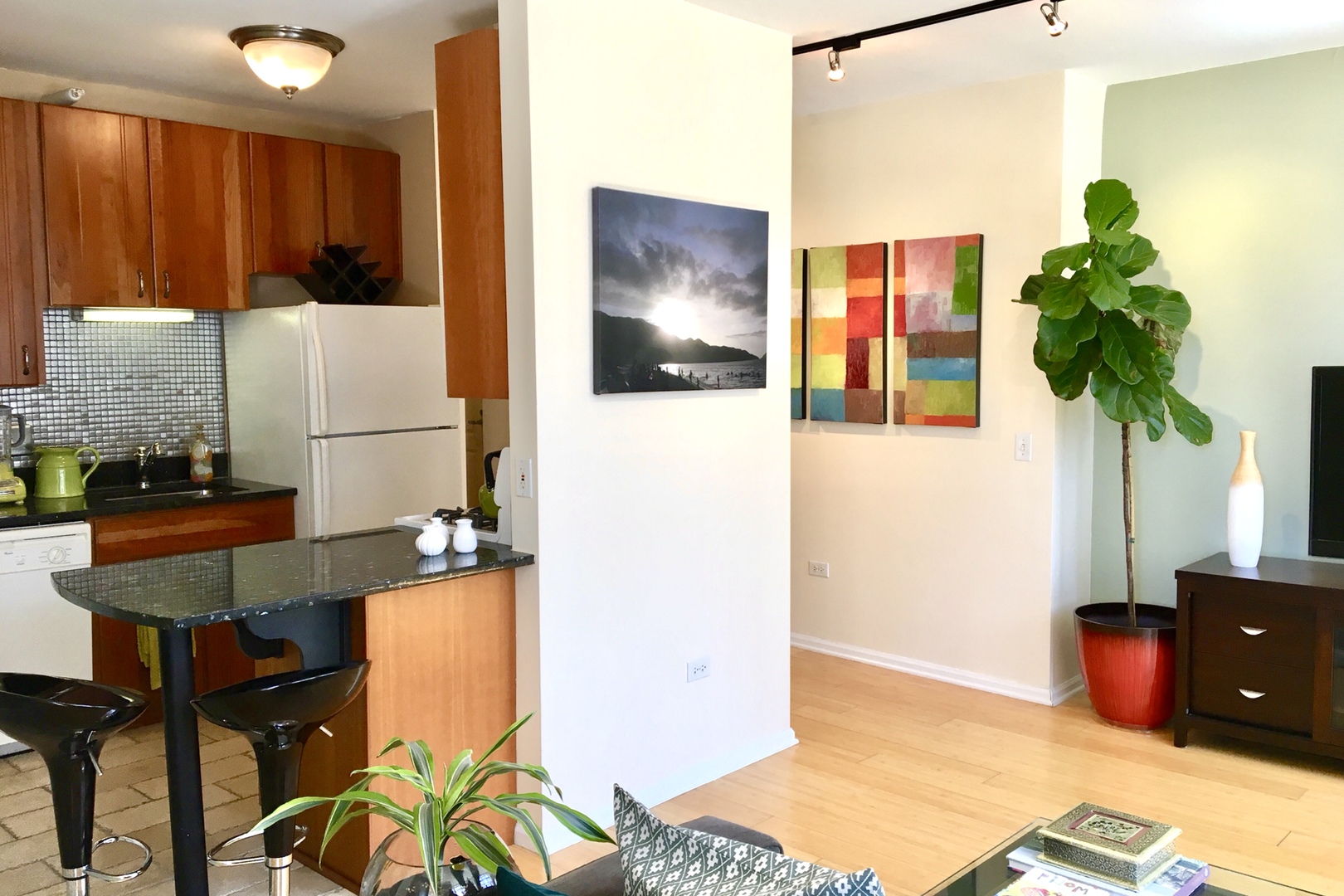 Chicago, Illinois 60654, United States, 1 Bedroom Bedrooms, ,1 BathroomBathrooms,Residential,Active,228507