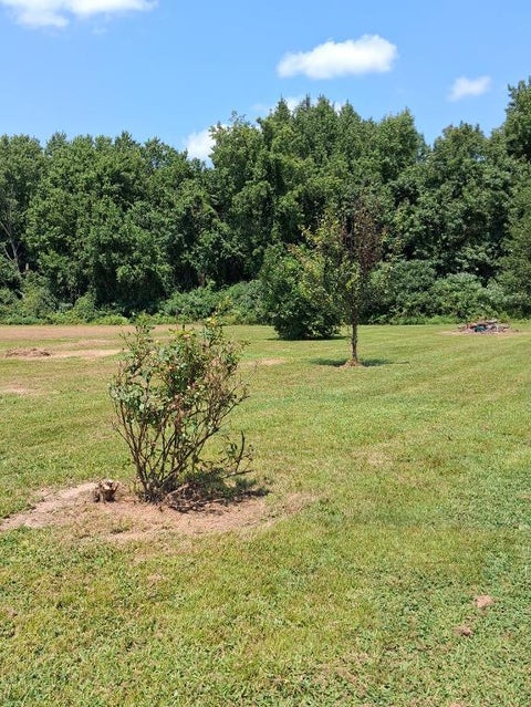 Tiny photo for 2559 Orient Road, West Frankfort, IL 62896 (MLS # 12725885)