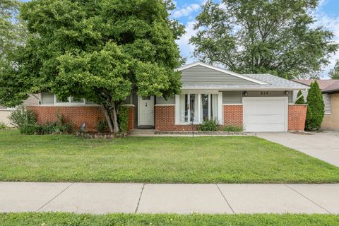 532 Landmeier Road Elk Grove Village IL 60007