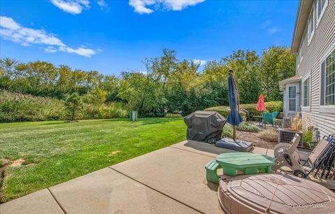 Tiny photo for 311 Katrina Lane, Algonquin, IL 60102 (MLS # 12462954)