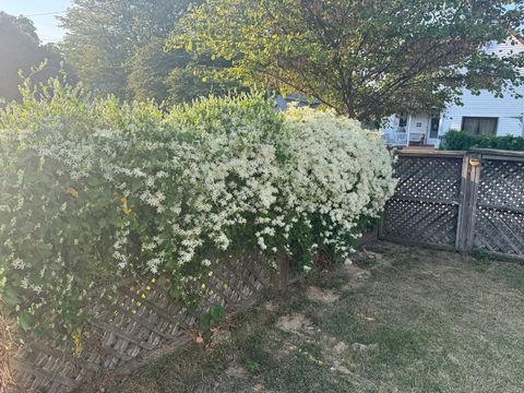 Tiny photo for 723 N Madison Street, Clinton, IL 61727 (MLS # 12465728)