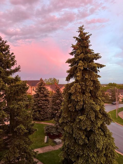 Tiny photo for 11S427 Rachael Court, Willowbrook, IL 60527 (MLS # 12515059)