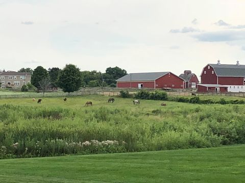 Tiny photo for 40W513 Old Mill Court, Elgin, IL 60124 (MLS # 12494349)