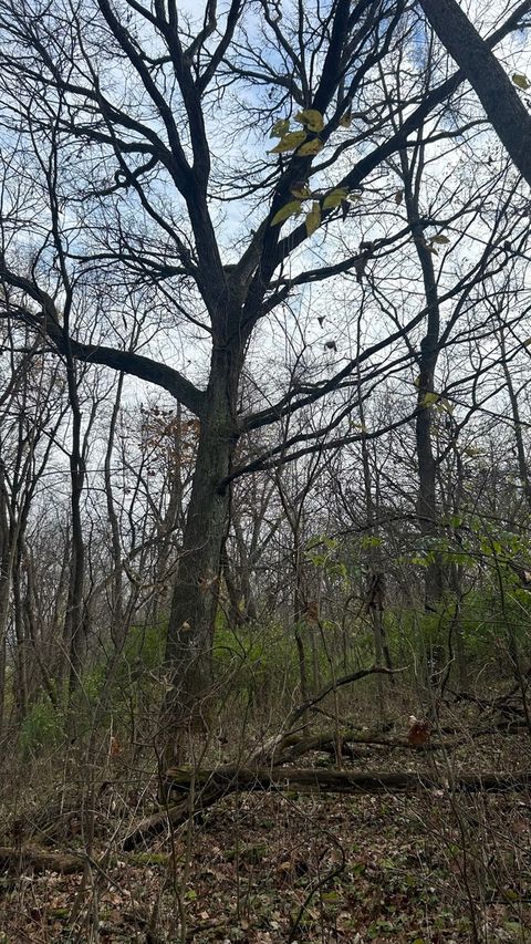 Tiny photo for 21860 W Il-113 Highway, Custer Park, IL 60481 (MLS # 12389964)