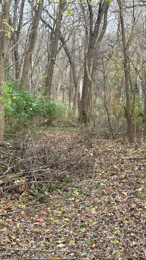 Tiny photo for 21860 W Il-113 Highway, Custer Park, IL 60481 (MLS # 12389964)