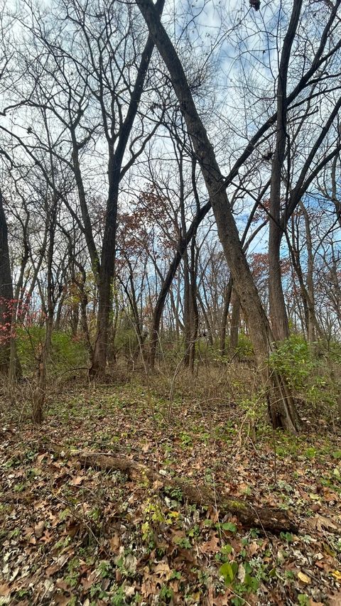 Tiny photo for 21860 W Il-113 Highway, Custer Park, IL 60481 (MLS # 12389964)