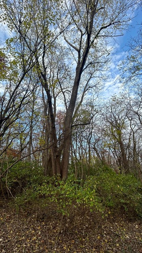 Tiny photo for 21860 W Il-113 Highway, Custer Park, IL 60481 (MLS # 12389964)