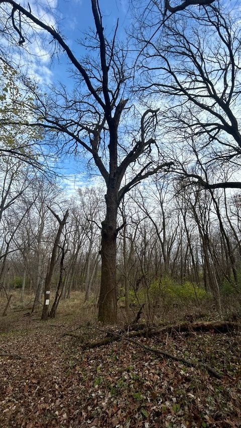 Tiny photo for 21860 W Il-113 Highway, Custer Park, IL 60481 (MLS # 12389964)