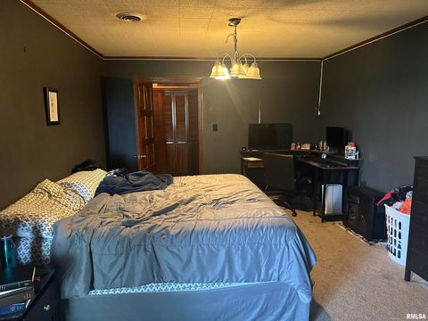 Tiny photo for 407 W WATER Street, Pinckneyville, IL 62274 (MLS # EB450644)