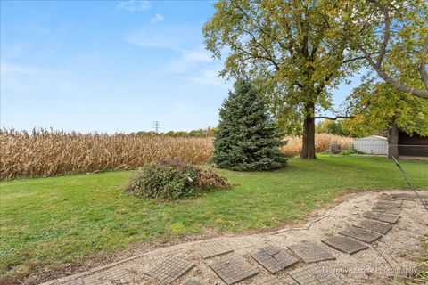 Tiny photo for 30736 S Symerton Road, Wilmington, IL 60481 (MLS # 12510781)