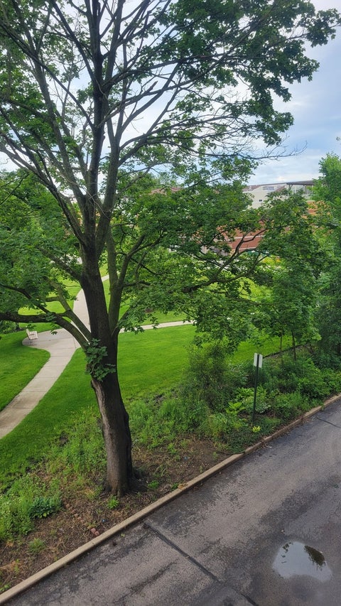 Tiny photo for 1450 Plymouth Lane #305, Elgin, IL 60123 (MLS # 12757071)