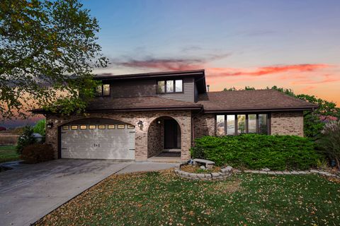 13226 Farm View Street Homer Glen IL 60491