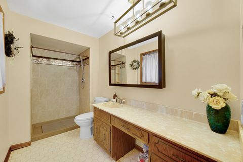 Tiny photo for 13226 Farm View Street, Homer Glen, IL 60491 (MLS # 12512331)