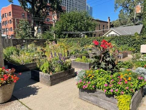 Tiny photo for 4250 N Marine Drive #705, Chicago, IL 60613 (MLS # 12771850)