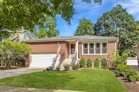 5 N Maple Street Mount Prospect IL 60056