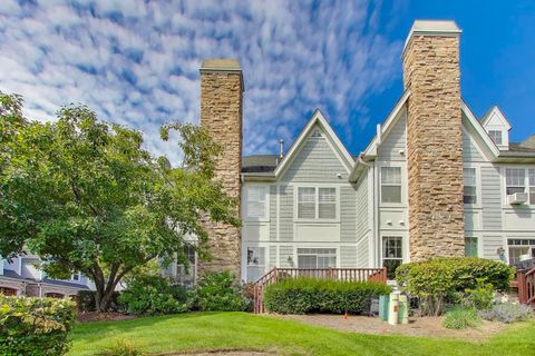 Tiny photo for 20481 N audrey Lane, Deer Park, IL 60010 (MLS # 12464834)