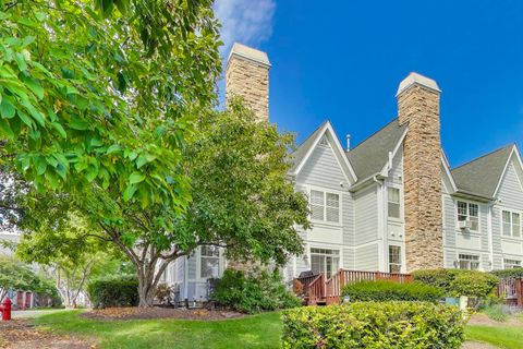 Tiny photo for 20481 N audrey Lane, Deer Park, IL 60010 (MLS # 12464834)