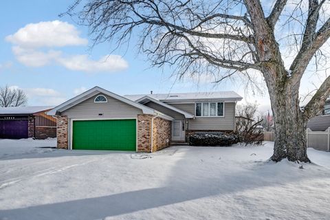 A home in Homer Glen