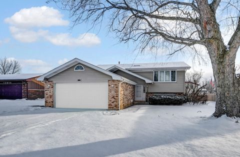 A home in Homer Glen