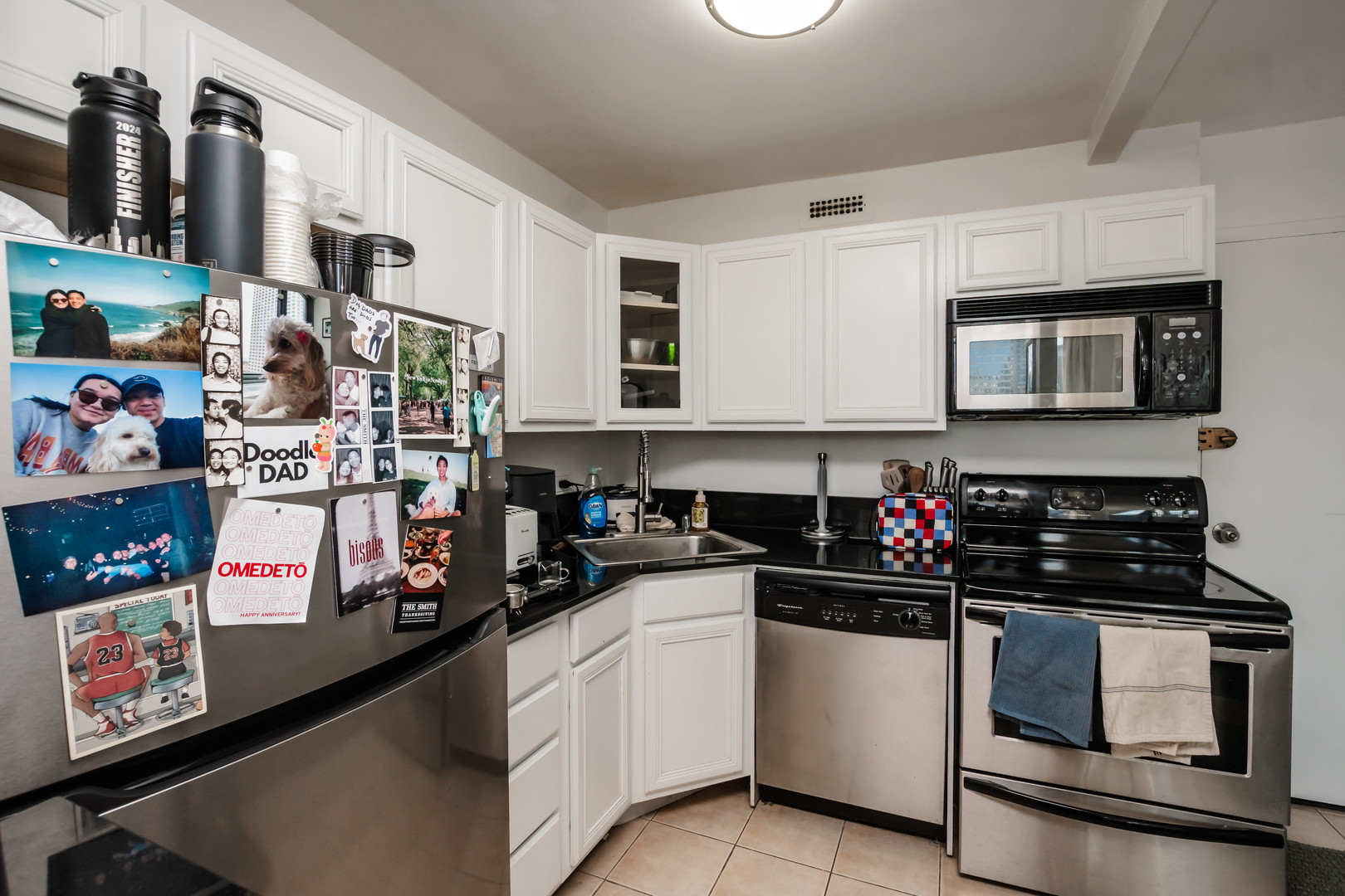 1360 N Sandburg Terrace 1409C