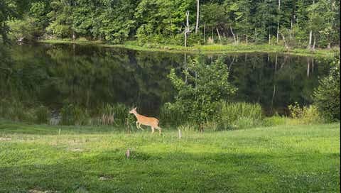 Tiny photo for 3768 Route 148 Route, Carbondale, IL 62902 (MLS # 12742041)