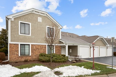 Photo of 375 Pinetree Lane #D-1, Schaumburg, IL 60193 (MLS # 12493942)