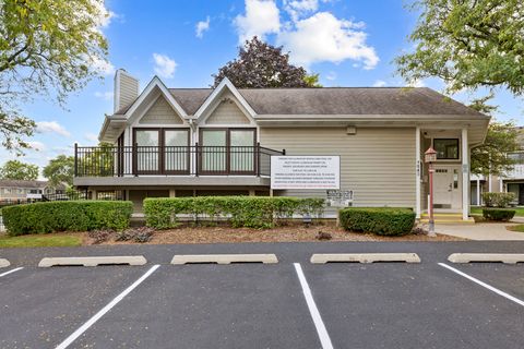 Tiny photo for 375 Pinetree Lane #D-1, Schaumburg, IL 60193 (MLS # 12493942)