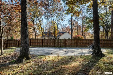 Tiny photo for 1901 Spring Garden Road, Marion, IL 62959 (MLS # QC4269668)