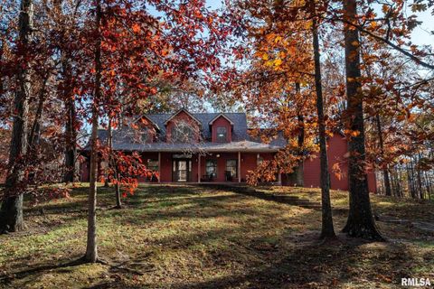 Photo of 1901 Spring Garden Road, Marion, IL 62959 (MLS # QC4269668)