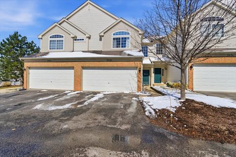 Photo of 245 Nicole Drive #B, South Elgin, IL 60177 (MLS # 12595240)