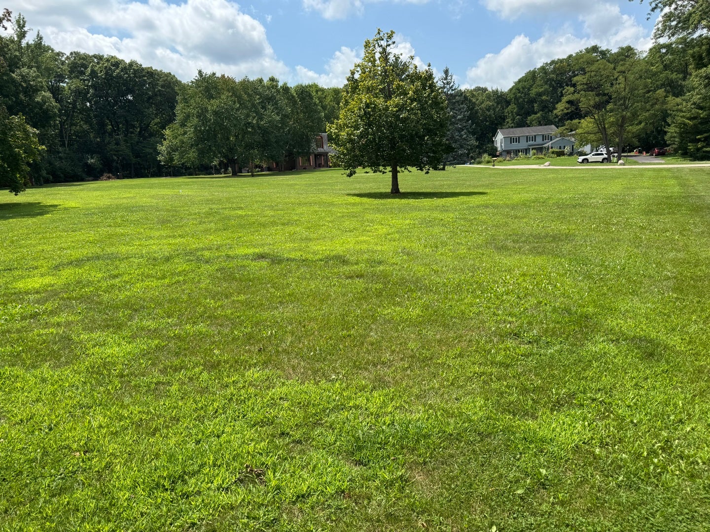 8N Cheviot Drive