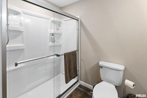 Tiny photo for 416 S MAPLE Street, Salem, IL 62881 (MLS # EB458518)