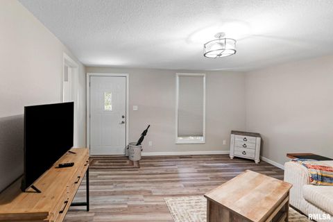 Tiny photo for 416 S MAPLE Street, Salem, IL 62881 (MLS # EB458518)