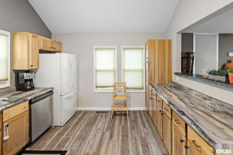 Tiny photo for 416 S MAPLE Street, Salem, IL 62881 (MLS # EB458518)