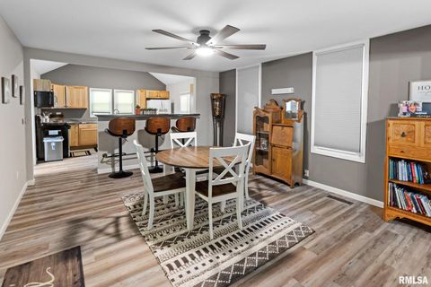 Tiny photo for 416 S MAPLE Street, Salem, IL 62881 (MLS # EB458518)