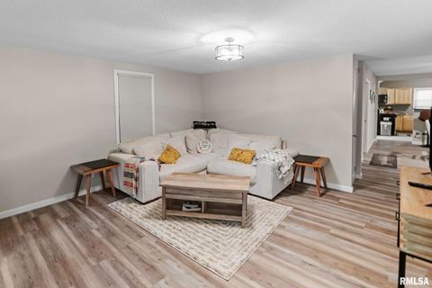 Tiny photo for 416 S MAPLE Street, Salem, IL 62881 (MLS # EB458518)