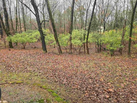 Tiny photo for 567 UNION GROVE Road, Carbondale, IL 62901 (MLS # EB460605)